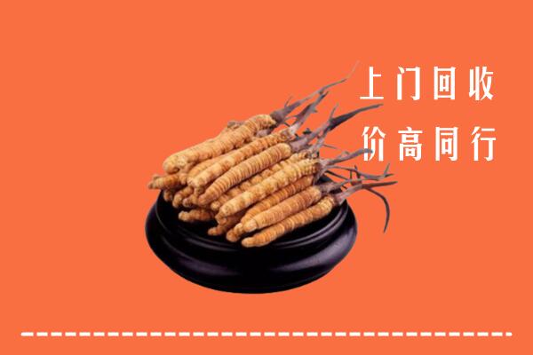 高价求购：建平县回收散虫草