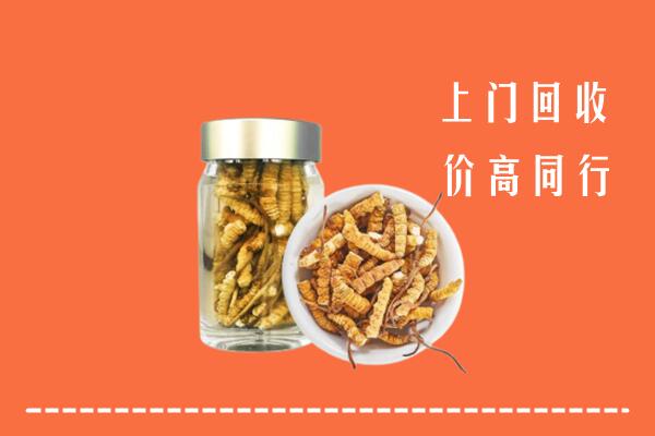 建平县回收冬虫夏草